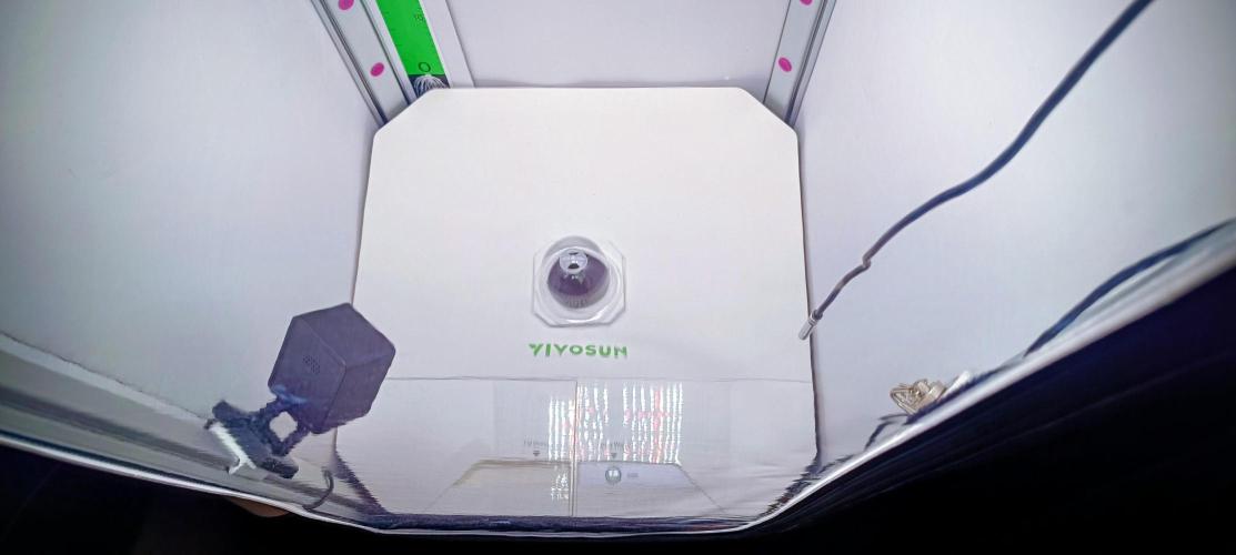 Diablo Rojo XL Auto in the VGrow DWC. Week 1