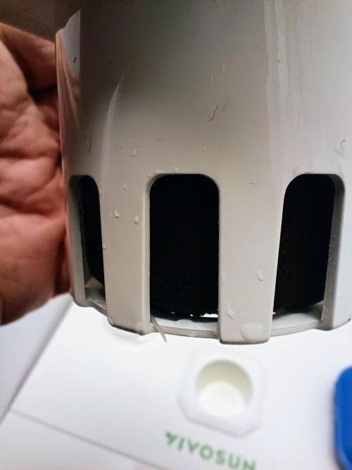 Diablo Rojo XL Auto in the VGrow DWC. Week 1