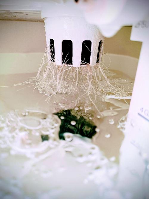 Diablo Rojo XL Auto in the VGrow DWC. Week 2