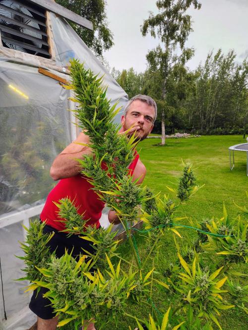 Winter 2025 garage grow. Week 4