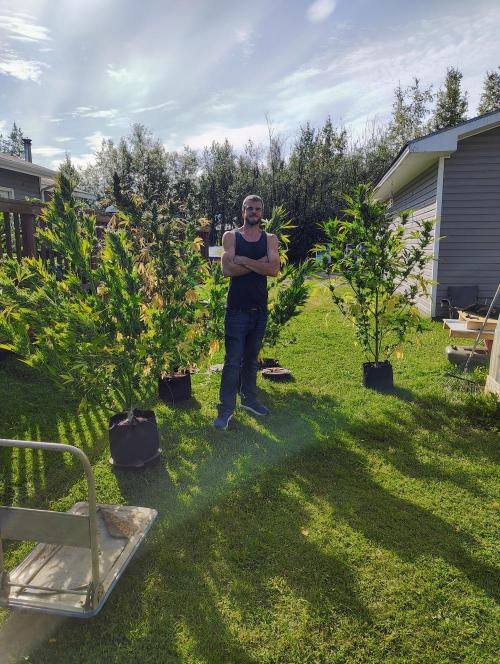 Winter 2025 garage grow. Week 4