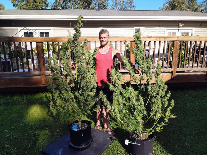 Winter 2025 garage grow. Week 4 - Just for reference I'm 6ft 4in tall in sandles