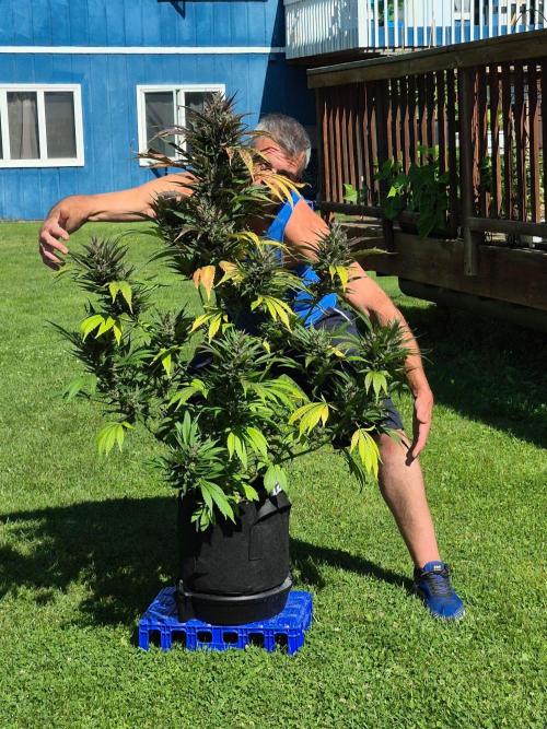 Winter 2025 garage grow. Week 4