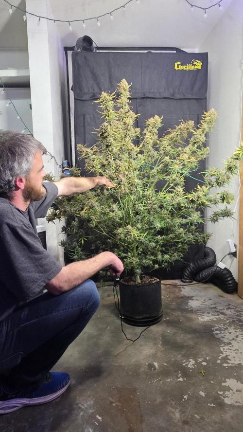 Winter 2025 garage grow. Week 10