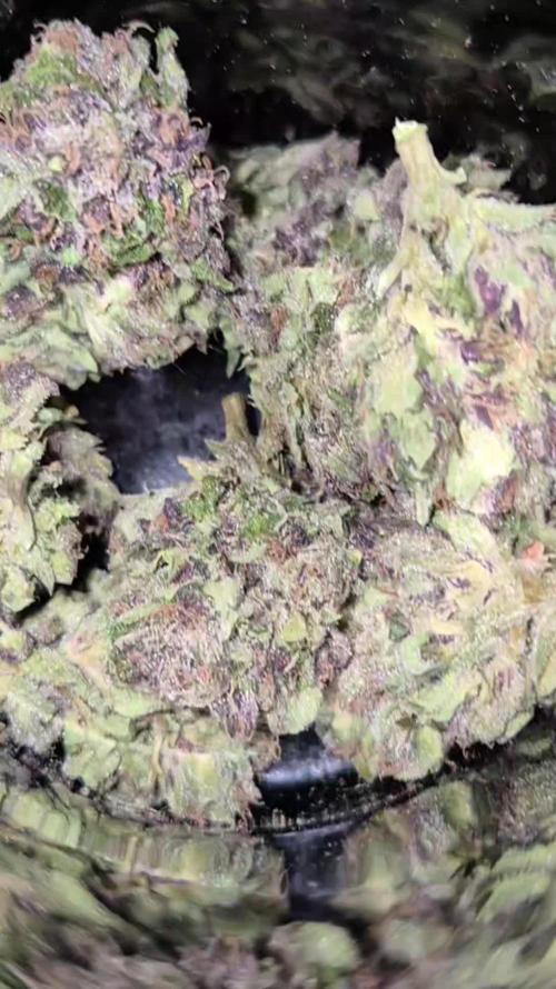 KO.Grow 🍋🍒🍪 2.0