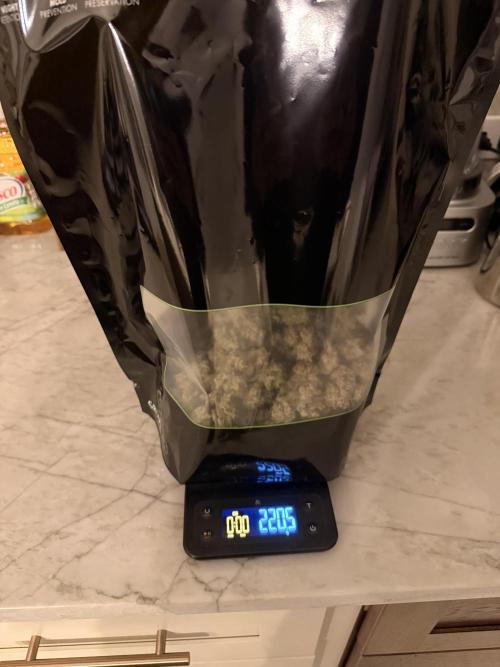 Papaya Cookies Athena DWC. Week 11