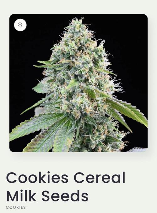 Cereal Milk + Extras w/ Drip Irrigation. Week 9
