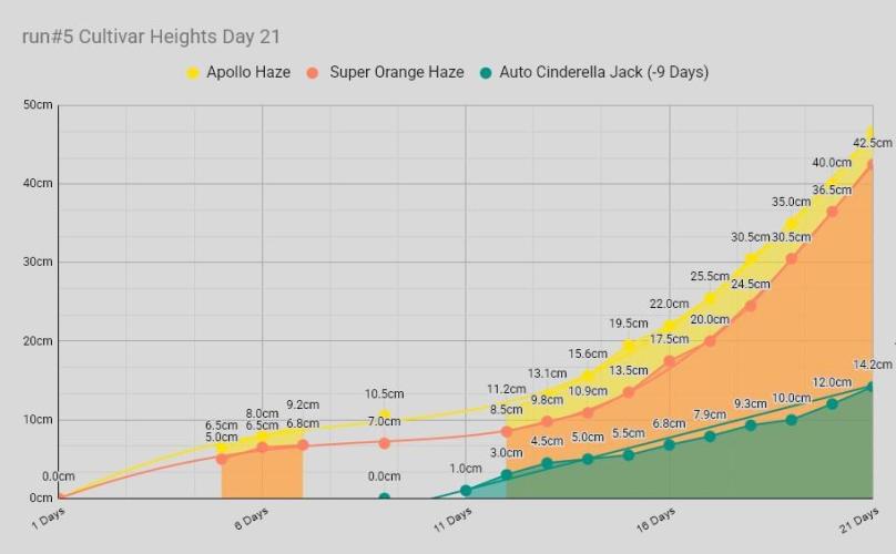 Apollo, Super Orange Haze, Cinderella J.. Week 3 - Some data, I think I'm gonna keep this format.
