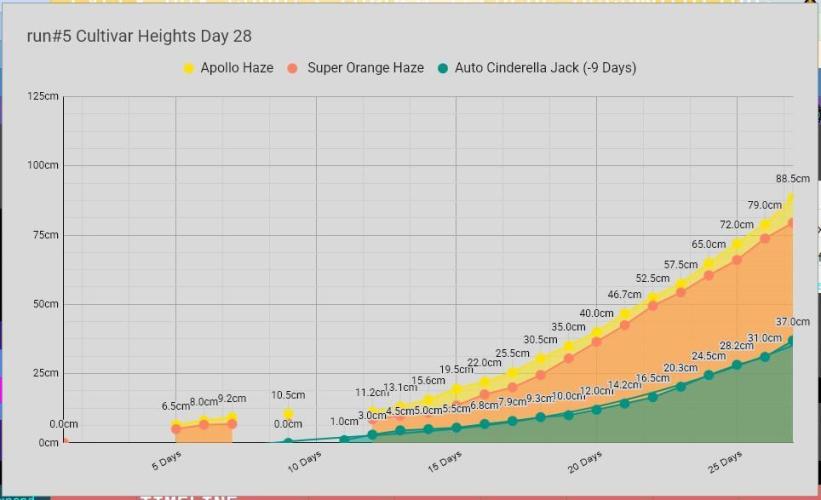 Apollo, Super Orange Haze, Cinderella J.. Week 4 - Stats for nerds