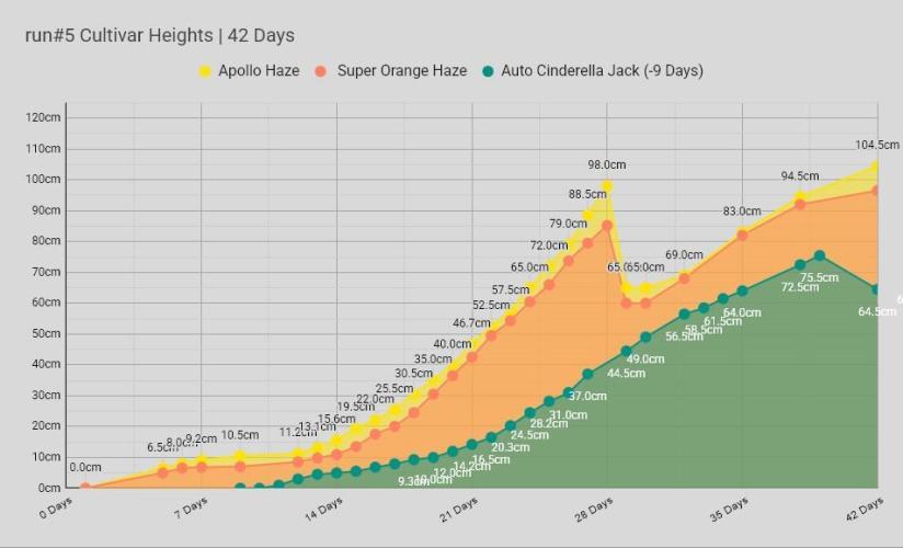 Apollo, Super Orange Haze, Cinderella J.. Week 6 - Stats for nerds as usual