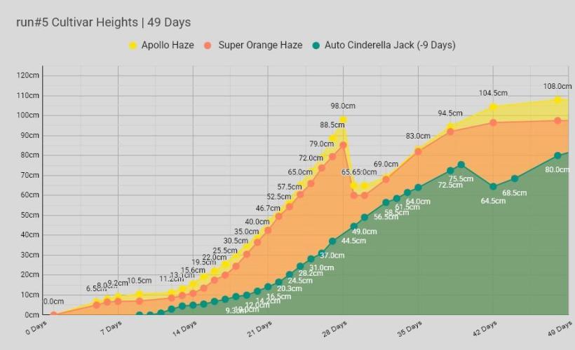 Apollo, Super Orange Haze, Cinderella J.. Week 7 - Stats for nerds, nerd!