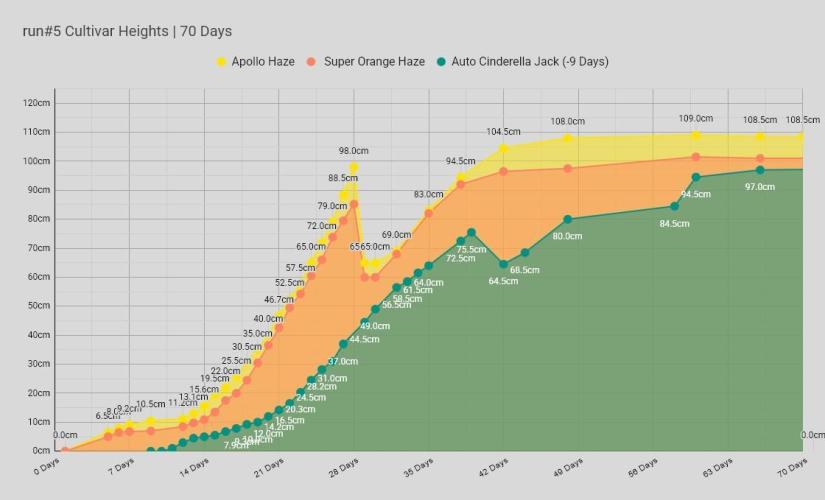 Apollo, Super Orange Haze, Cinderella J.. Week 10 - The night after is not CAPtured for Apollo in this sigjaw-chart.