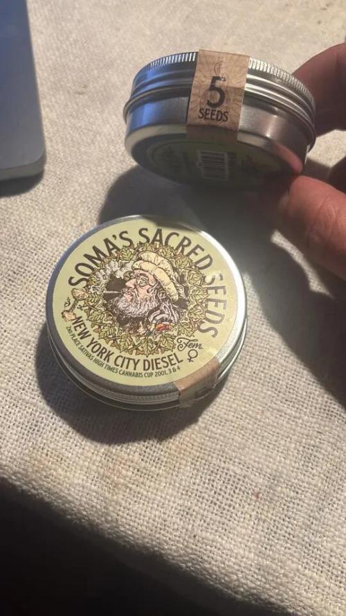 NYC Diesel von Soma Living Soil 50g/30L. Week 3 - I get one for Free!! oO