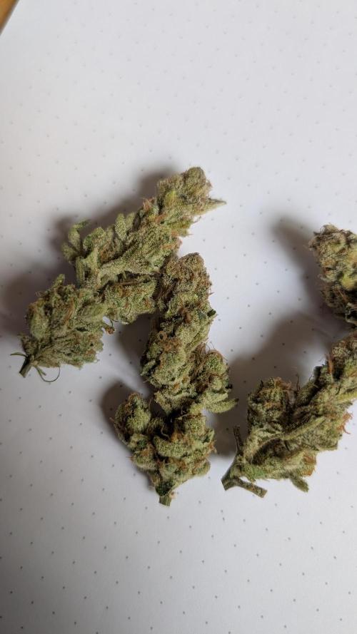 Orange Bud, Super Lemon Haze. Week 17