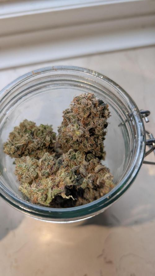 Orange Bud, Super Lemon Haze. Week 19