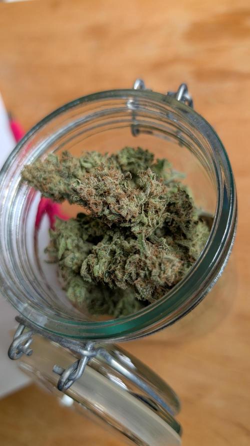 GH Cheese. Week 15