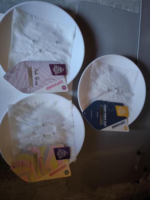 Zamnesia seeds. Week 0