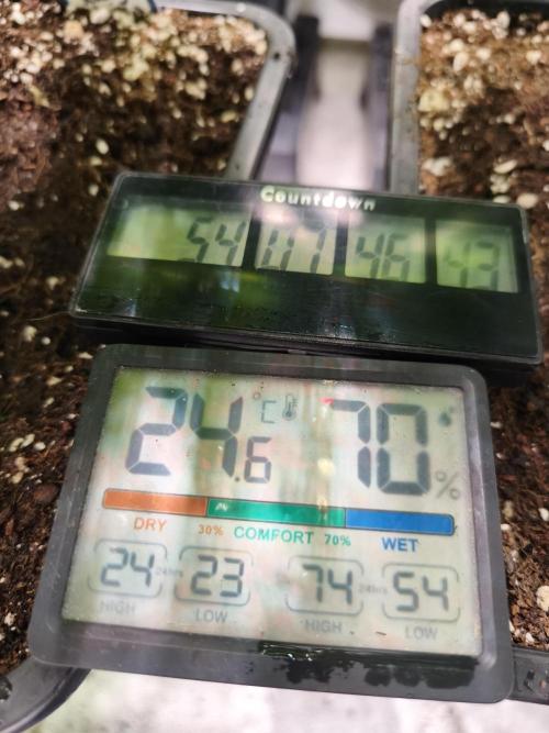 ZAMMIGROW2024. Week 8