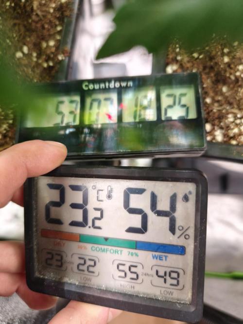 ZAMMIGROW2024. Week 9