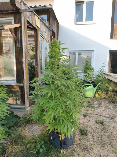 Outdoor femis ♥️. Week 3
