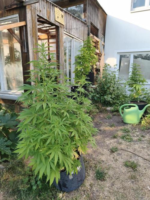 Outdoor femis ♥️. Week 3