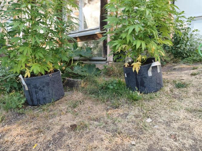 Outdoor femis ♥️. Week 3