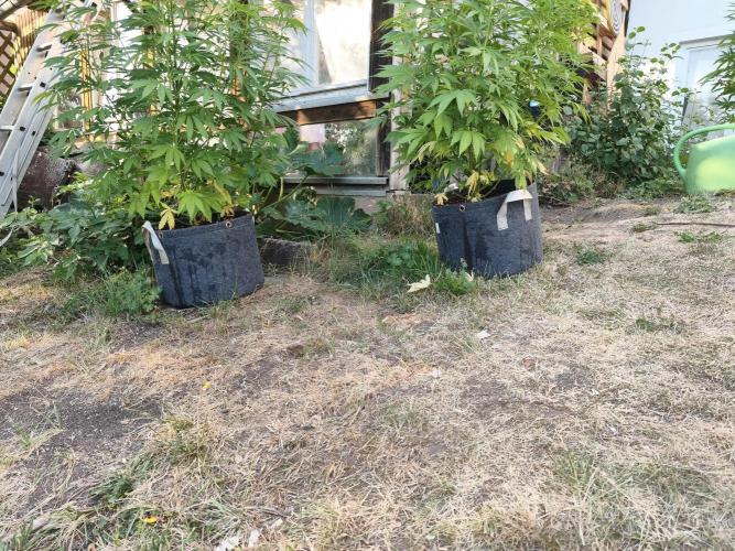 Outdoor femis ♥️. Week 3