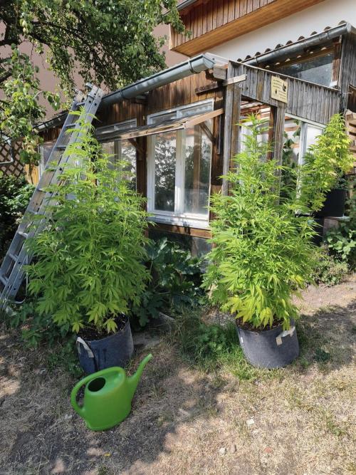 Outdoor femis ♥️. Week 3