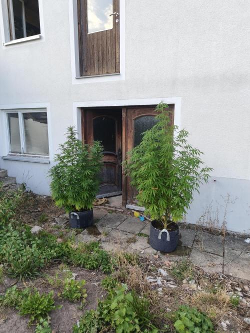 Outdoor femis ♥️. Week 4