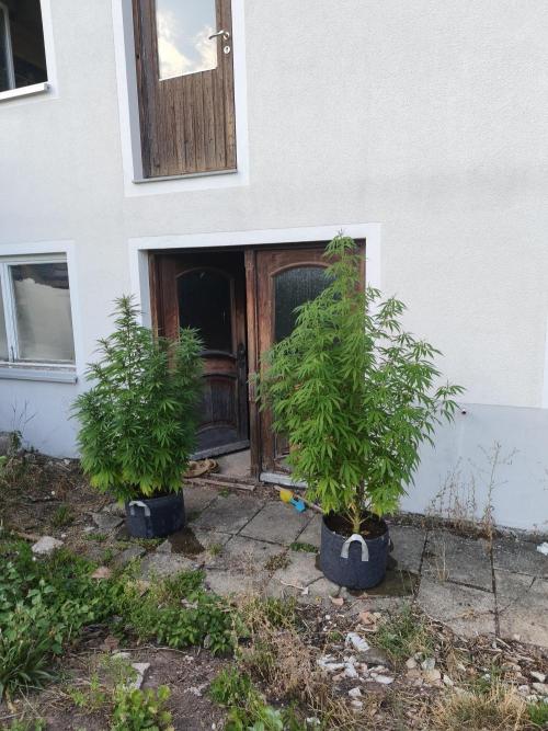 Outdoor femis ♥️. Week 4
