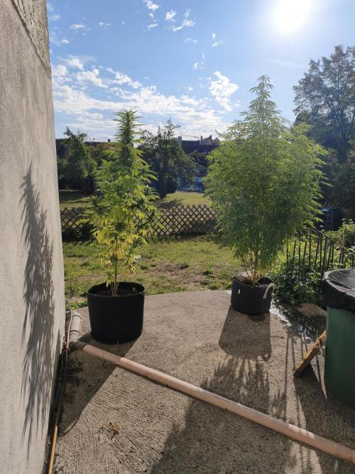 Outdoor femis ♥️. Week 5