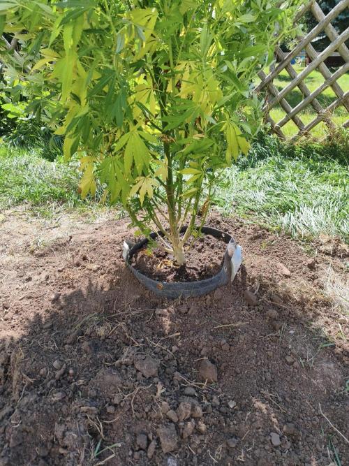 Outdoor femis ♥️. Week 6