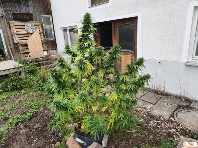 Outdoor femis ♥️. Week 6