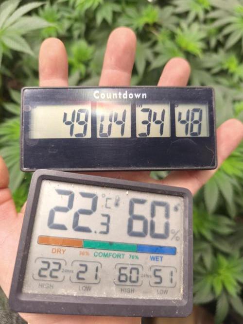 ZAMMIGROW2024. Week 9