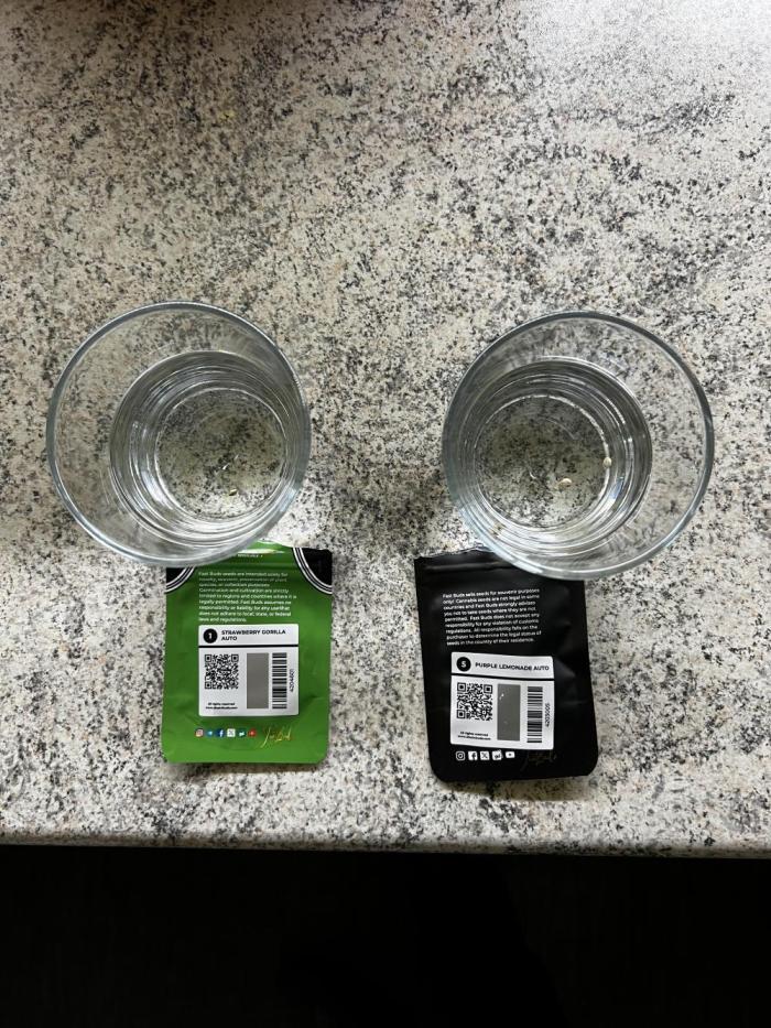 Automatics. Week 0 - A new life is starting.