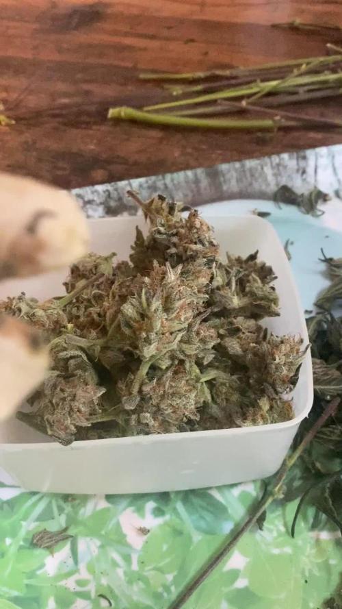FastBuds💥Apple Strudel