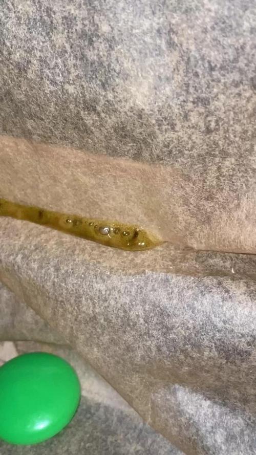 Auto Candy Divine Seeds