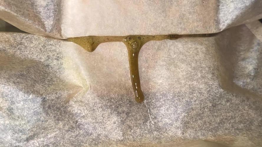 Auto Candy Divine Seeds