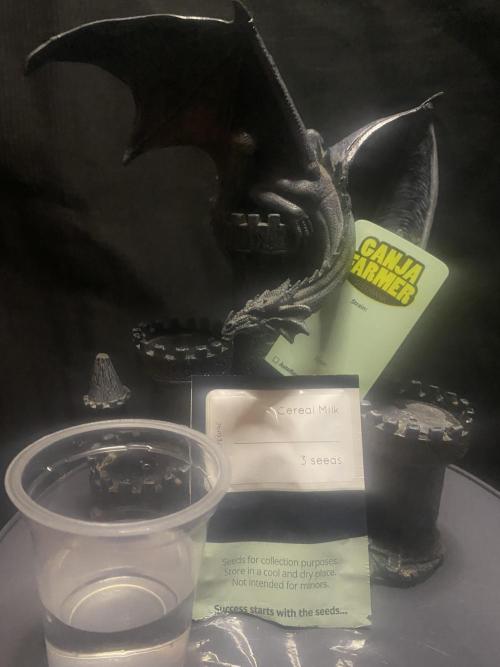 Cereal Milk💚. Week 0