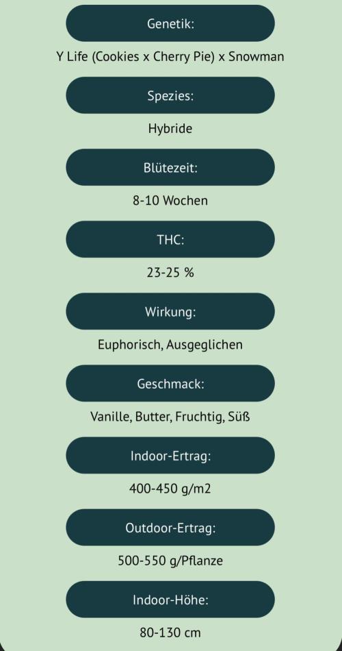 Cereal Milk💚. Week 0