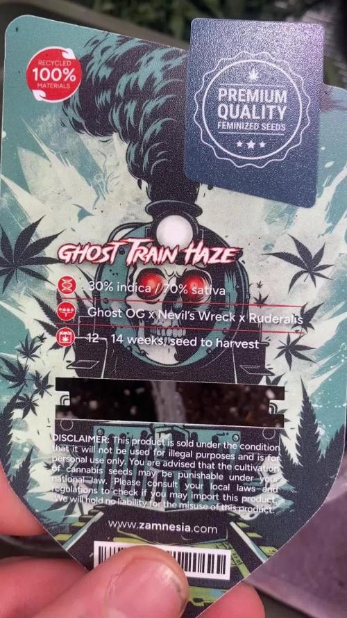 Lets enter the Ghost Train Haze 👻
