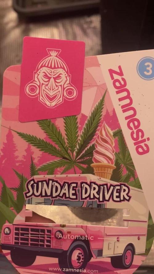 Sundae Drive 🏝️ by Zamnesia