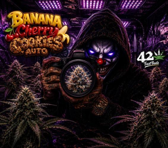 Banana Cherry Cookies. Week 0
