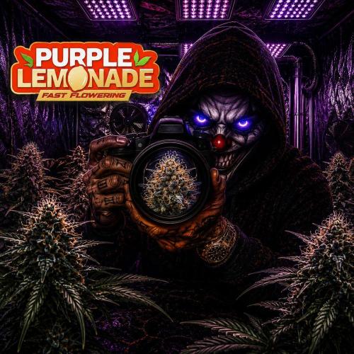 Fast Buds💜PurpleLemonade FF. Week 19