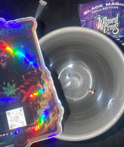 Voodoo. Week 0