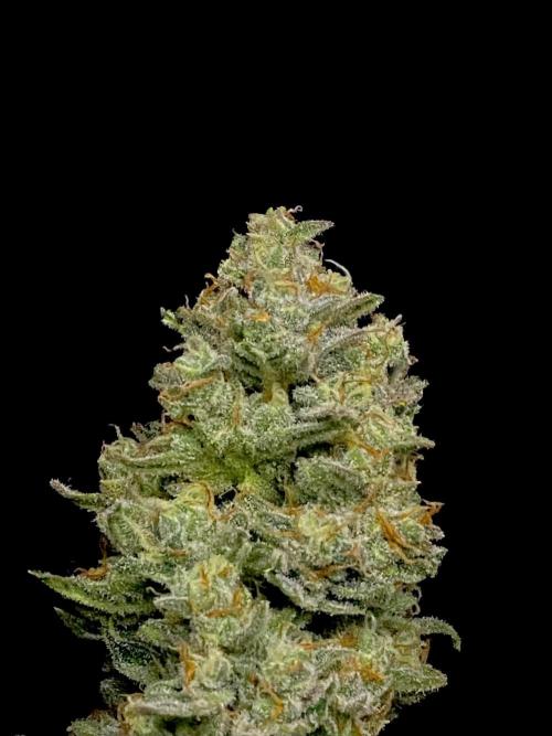 Banana Cherry Cookies. Week 11