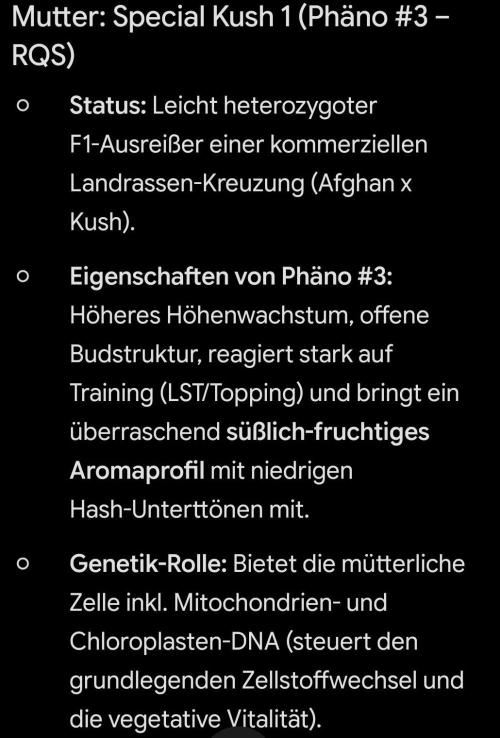 First Diary "Special OG" by KevoX. Week 3 - Bei der P Mutter Selektion, wurde sich für den Phäno #3 der Von RQS Special kush entschieden