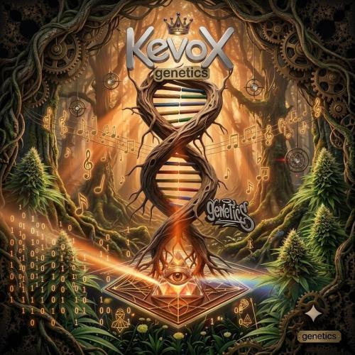 First Diary "Special OG" by KevoX. Week 4 - Dünger Schema und Gießverhalten blieb gleich. Licht zwischen 25 und 50% von 320w gefadet