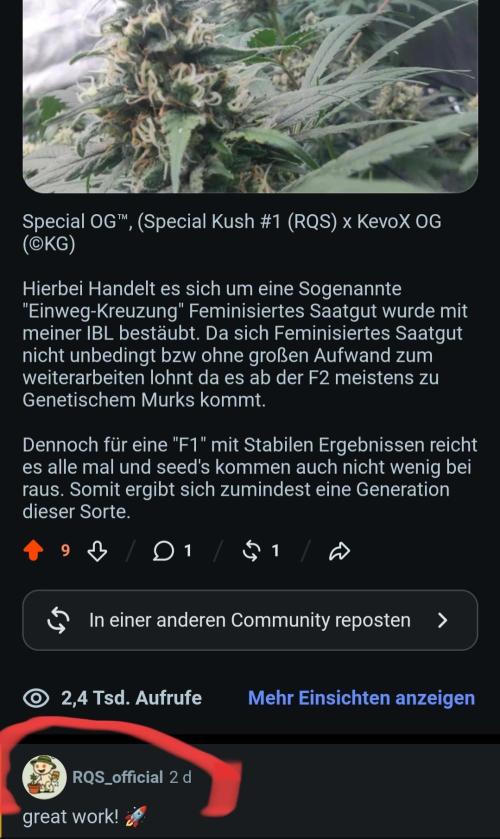 First Diary "Special OG" by KevoX. Week 4 - Nur Liebe ?