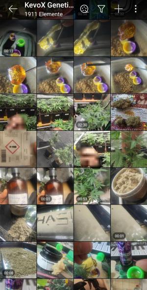 Comment by KevoX_Genetics photo #4